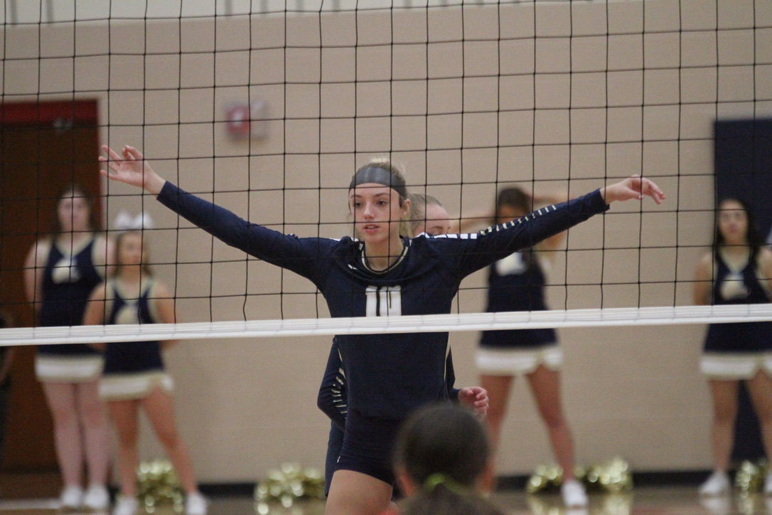 York vs. Platteview volleyball 16.jpeg